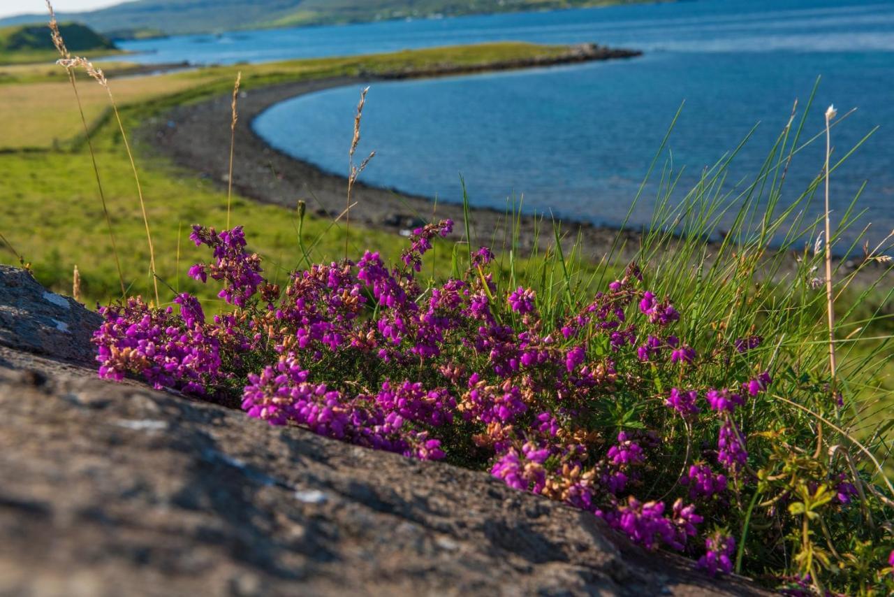 Skye Lodge Dunvegan Skye Dış mekan fotoğraf